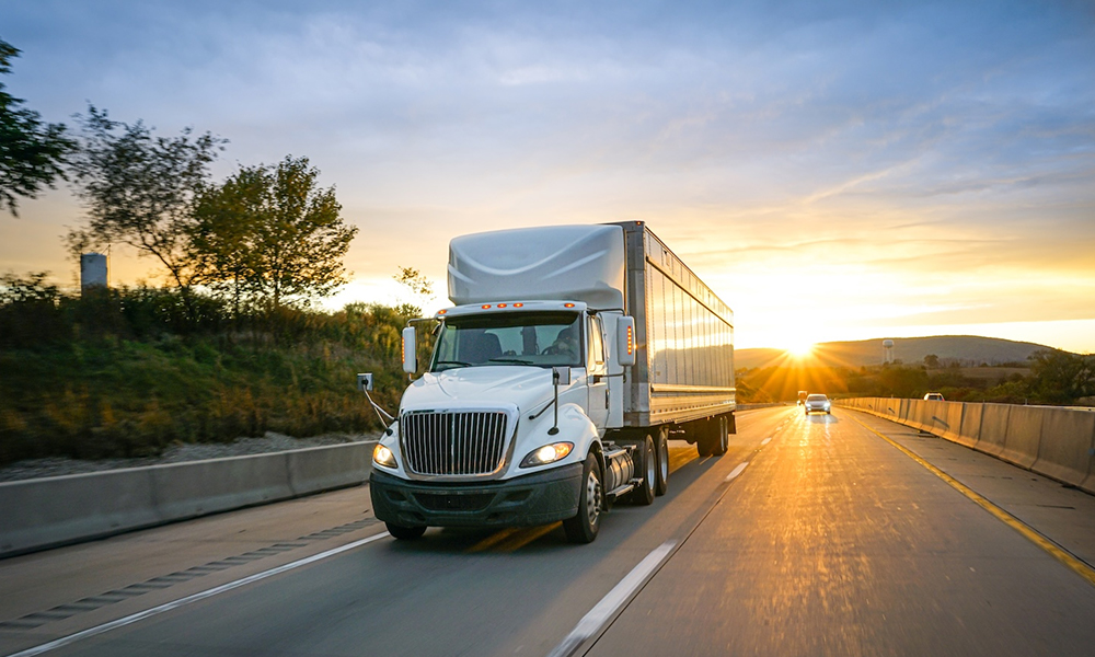 Cargo logistics service